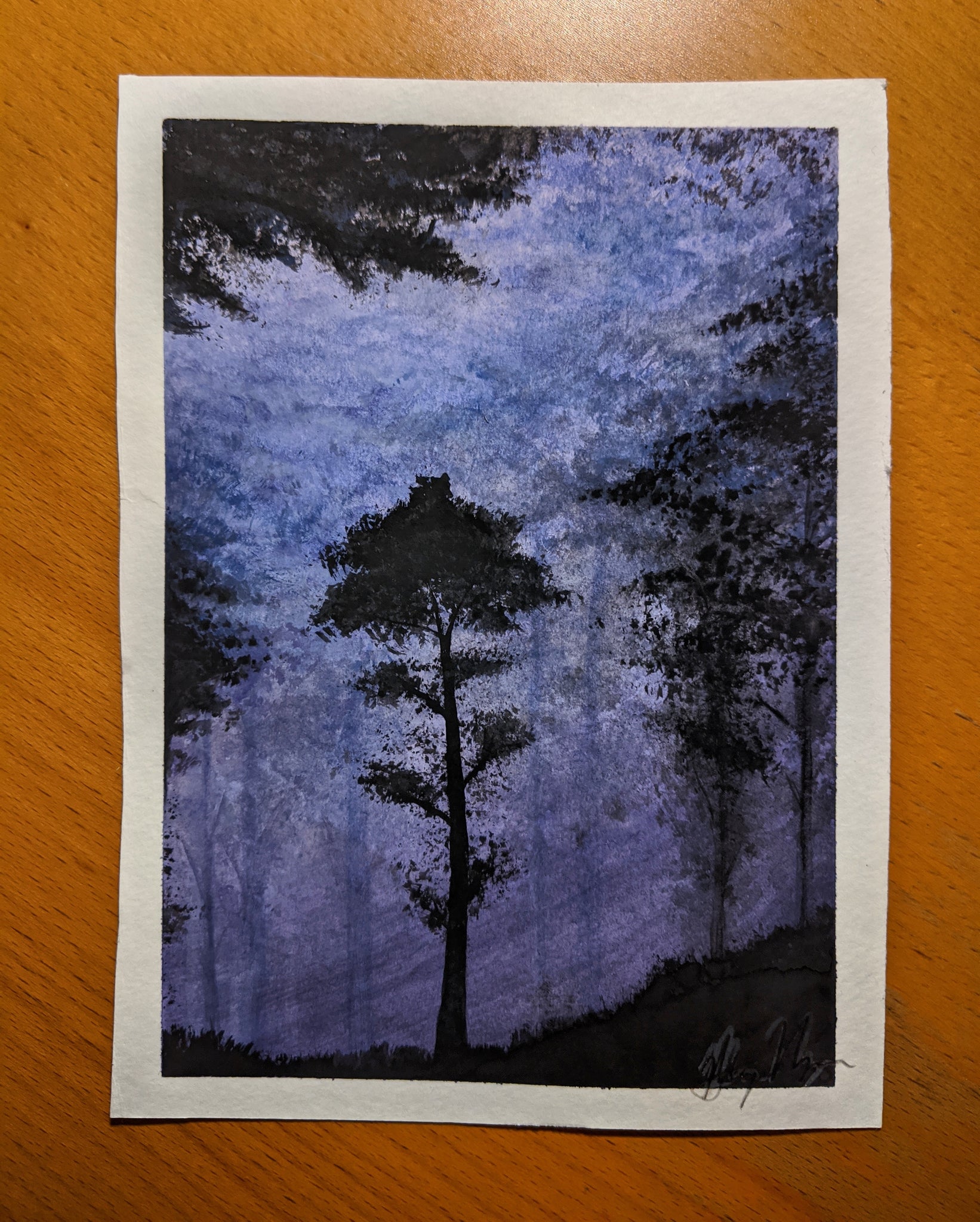 Misty Forest
